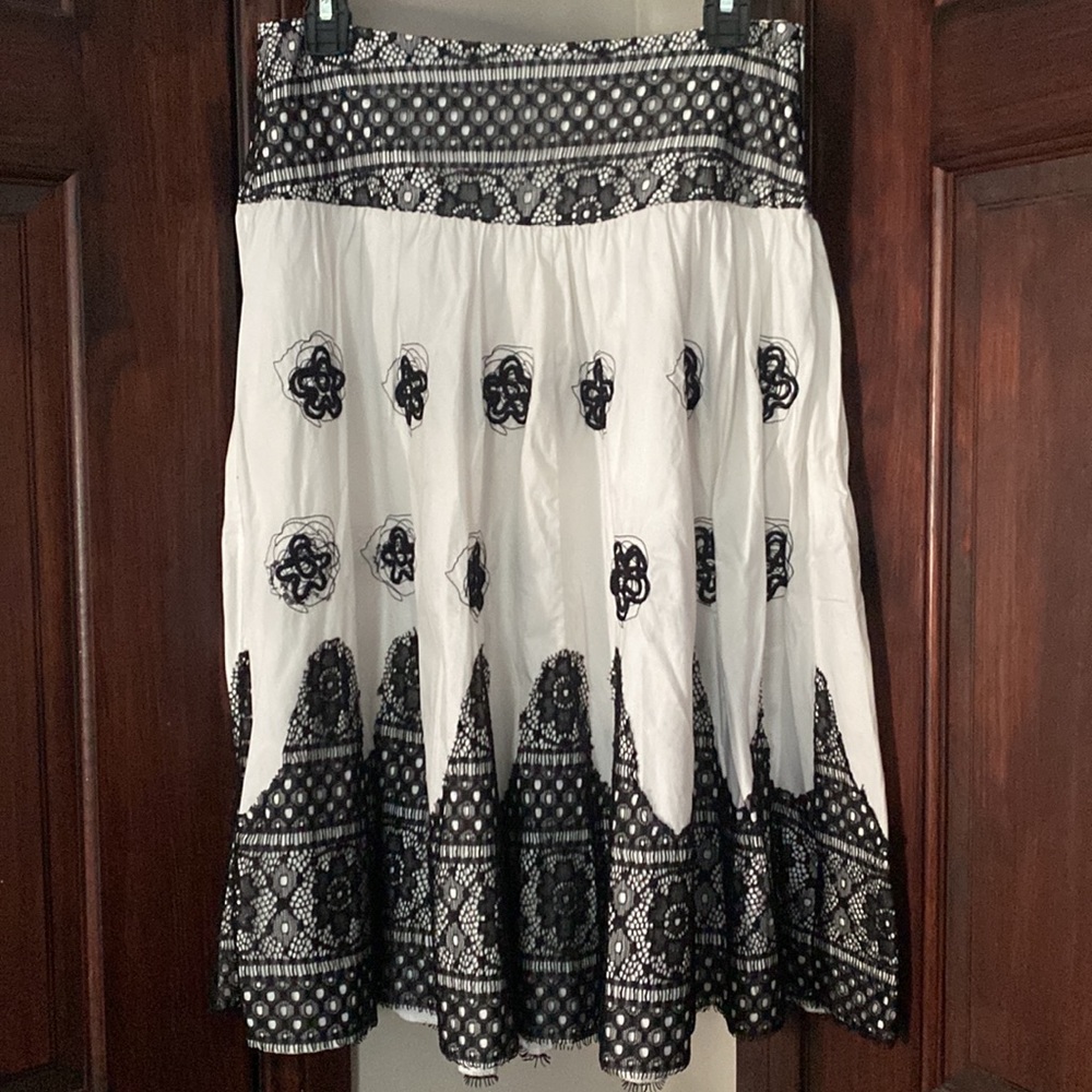 Embroidered Fit & Flare Skirt